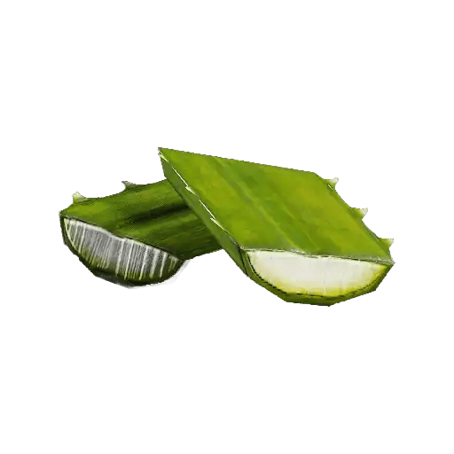 Agave