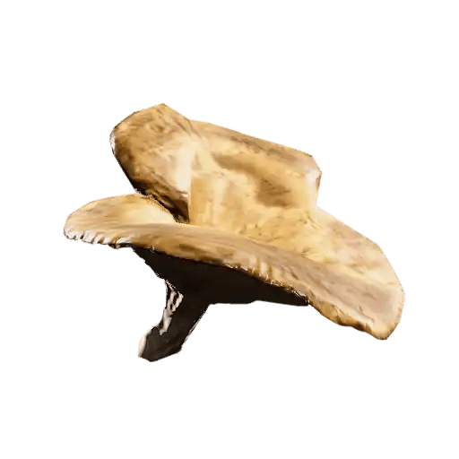 Champignon