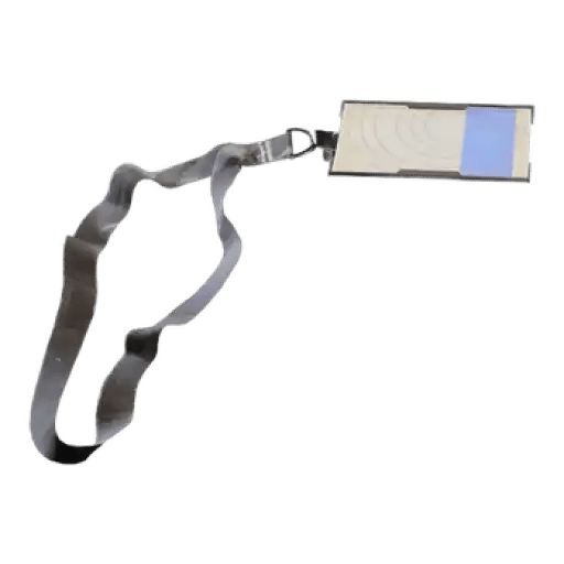 Blue Gate Cellar Key