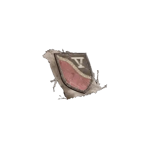 Major Aiva's Patch