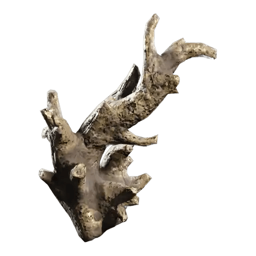 Fossilized Lightning