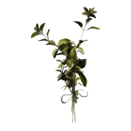 Great Mullein