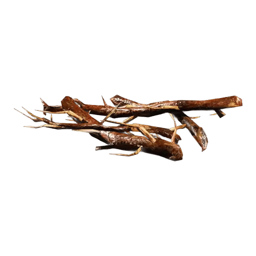 Roots