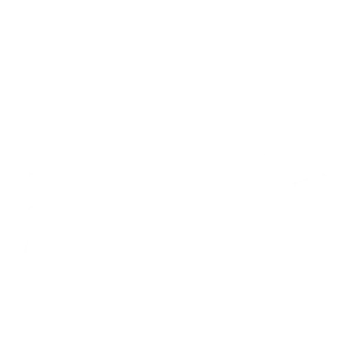 БАСТИОН