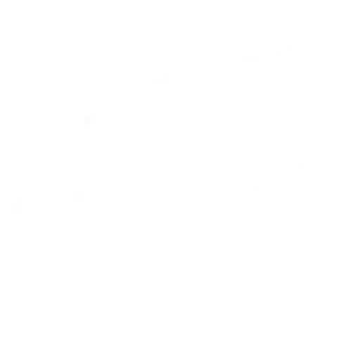 БОМБАРДИР