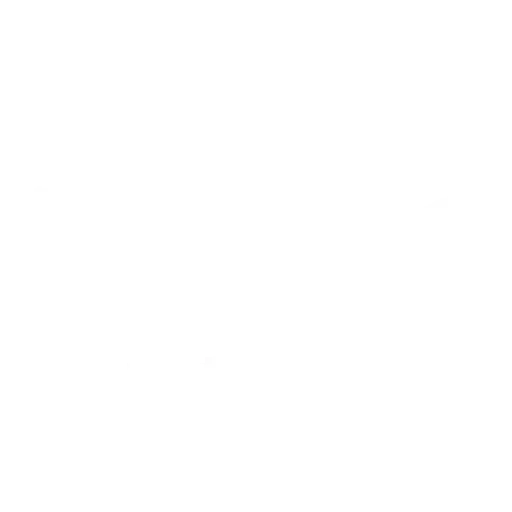 РАКЕТЧИК