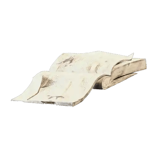 Torn Book