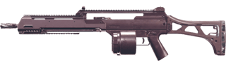 HOLGER-26