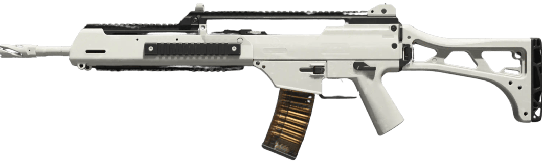 Image of the best build of the holger-556