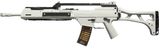HOLGER 556