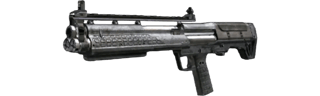 KSG