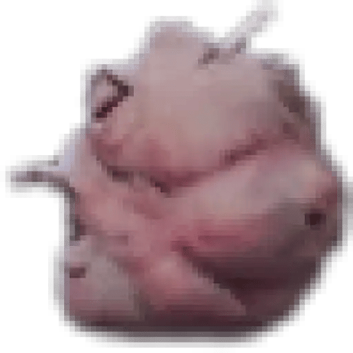Tarax Seed