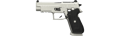 Image of the p890