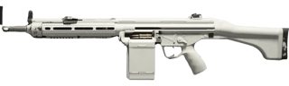 RAPP H