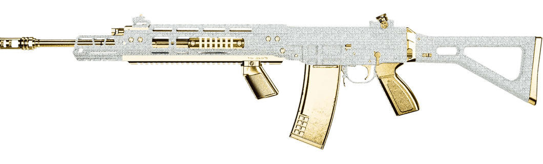 Image of the best build of the swat-556