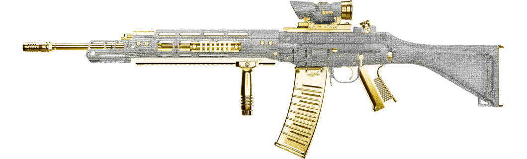Image of the best build of the swat-556